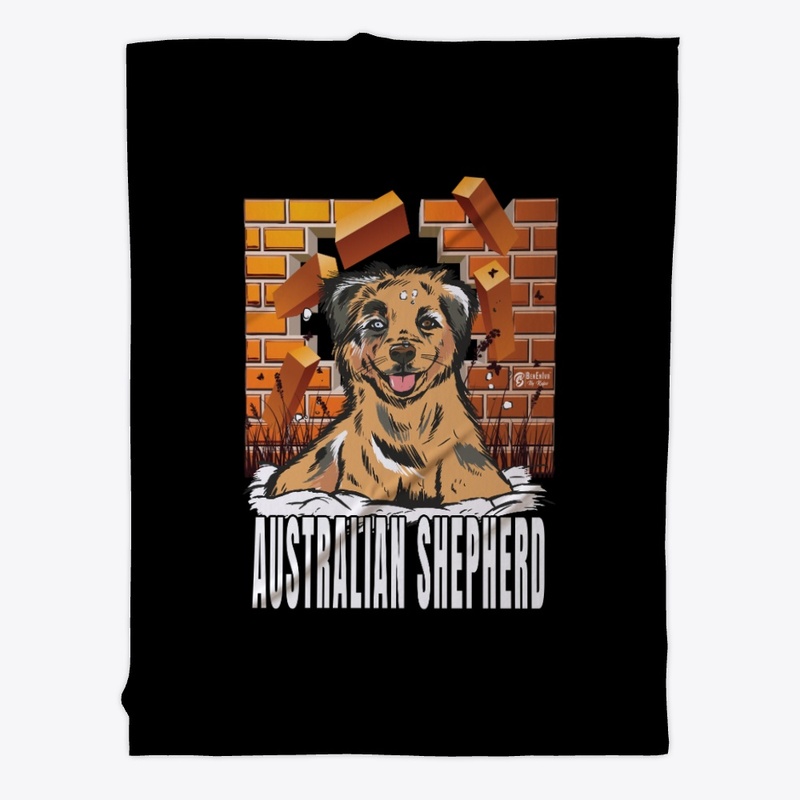 Australian Shepherd 