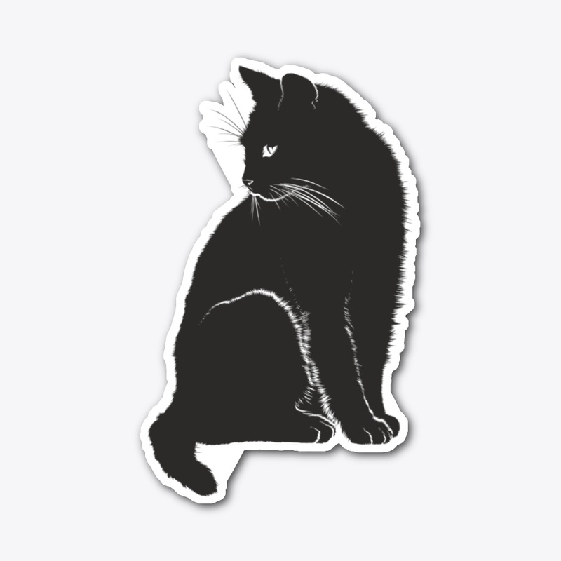 Black cat