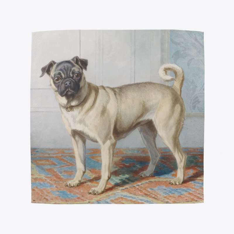 Edwin Vom Rath licked a dog