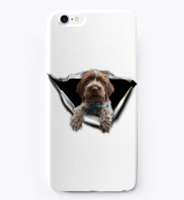 Wirehaired Pointing Griffon