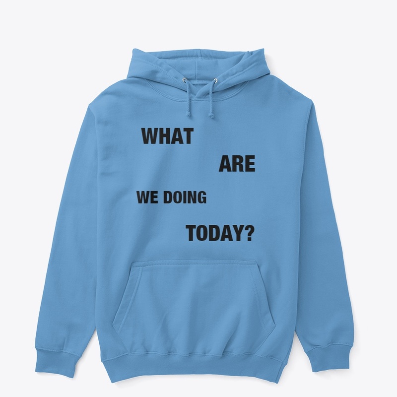What Are We Doing Today?