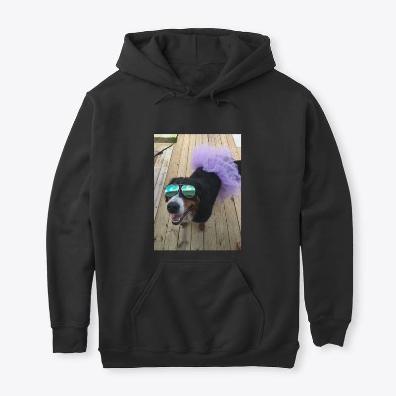 Bernese Mountain Dog 