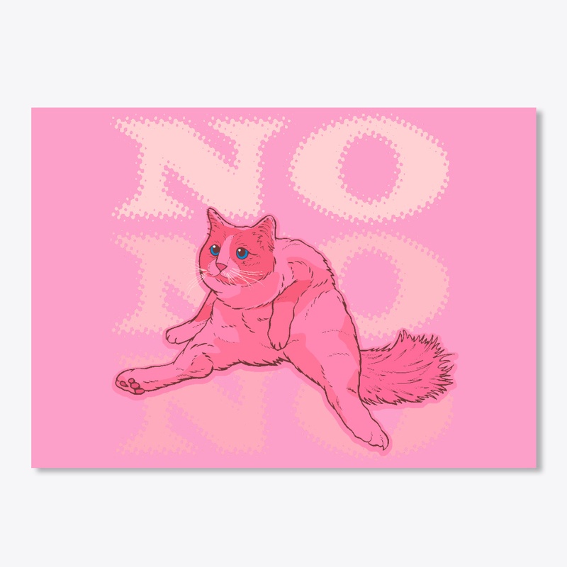 NO KITTY NO