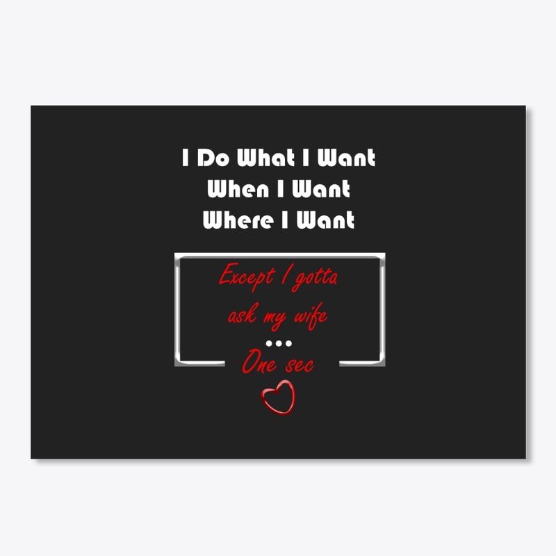 I Do What I Want When I Want Where 