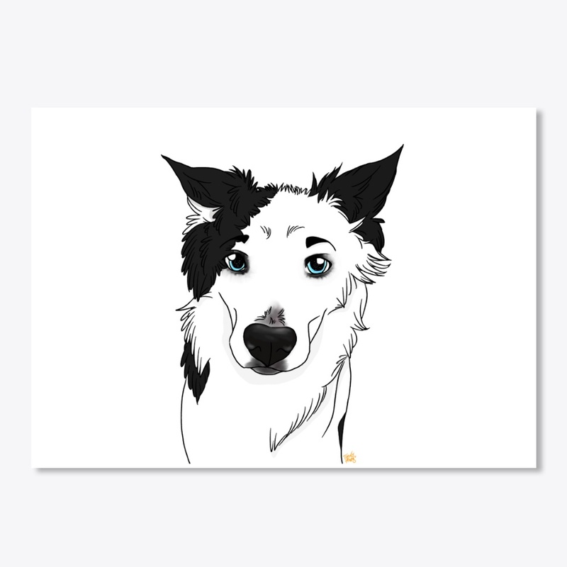 Blue the Collie
