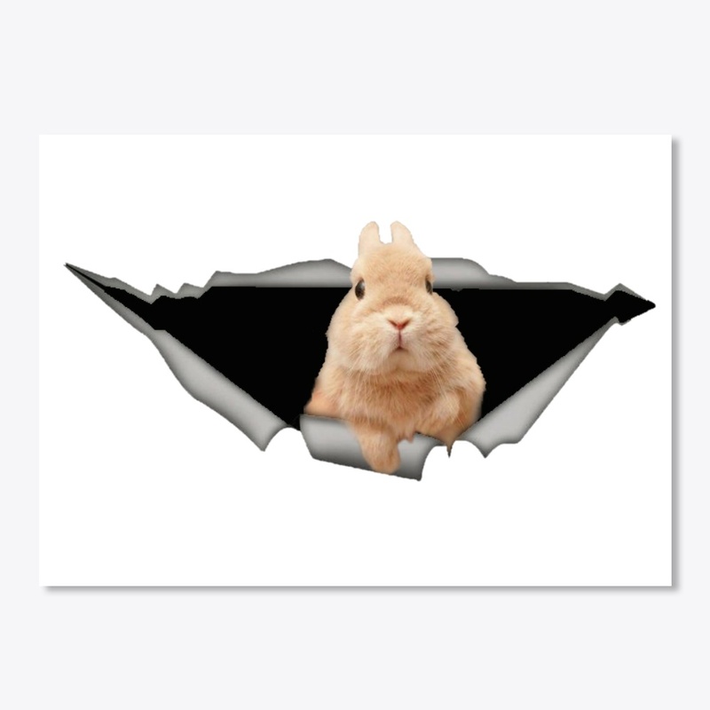  rabbit car decal