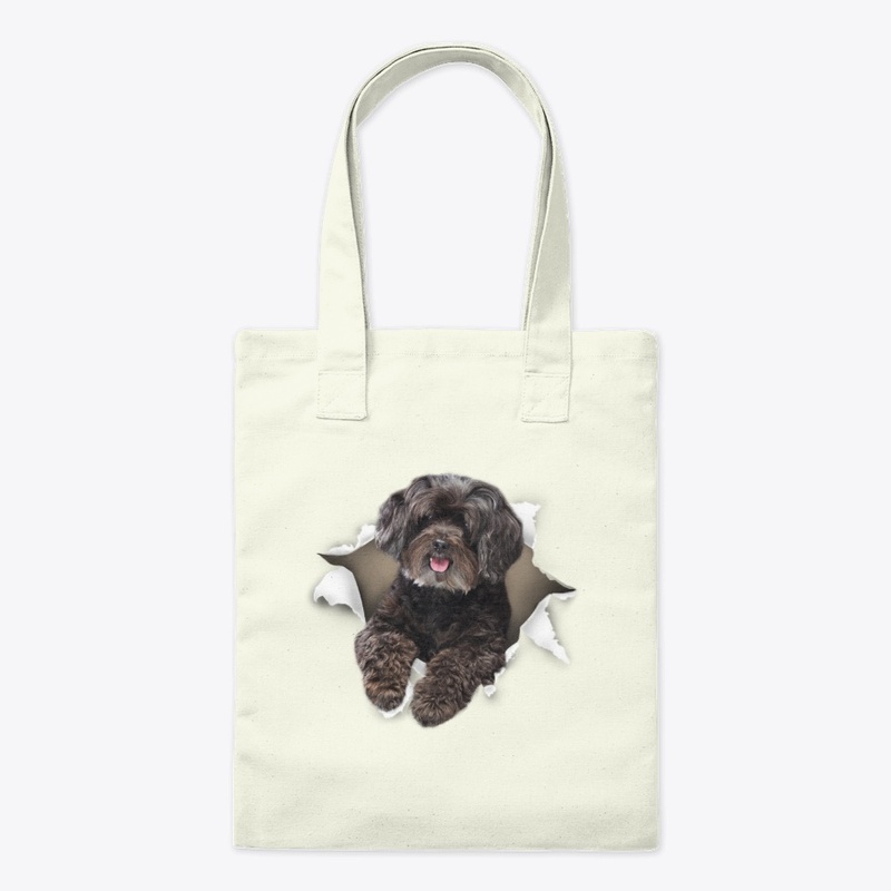 Schnoodle Torn Paper