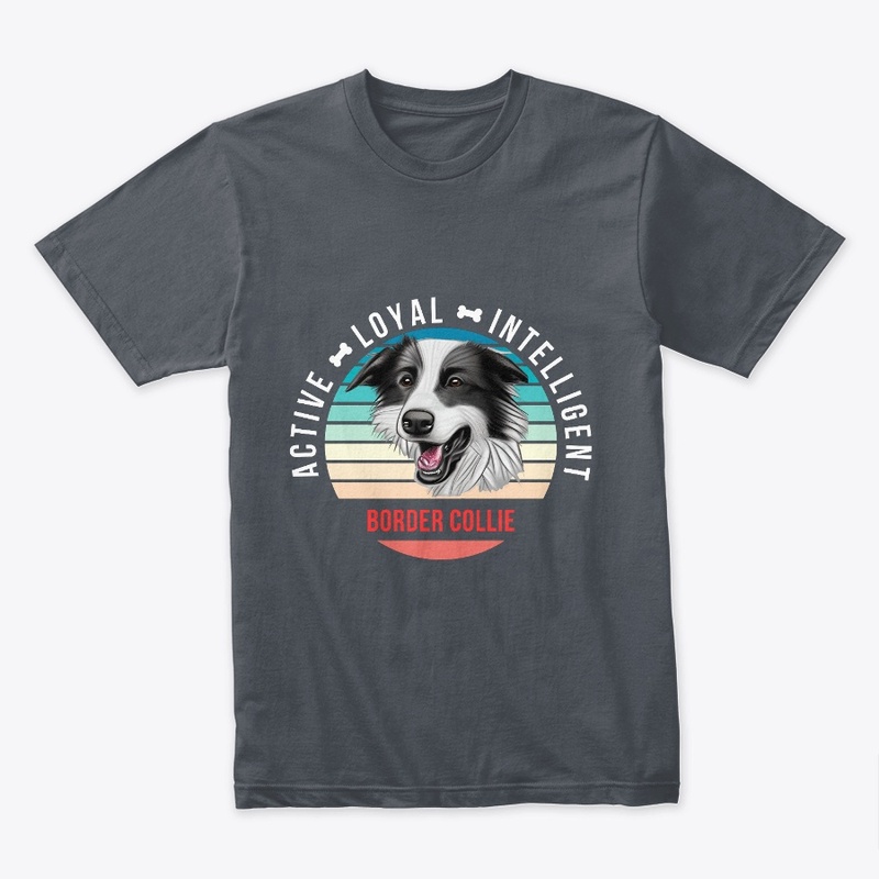 Border Collie - Active, Loyal