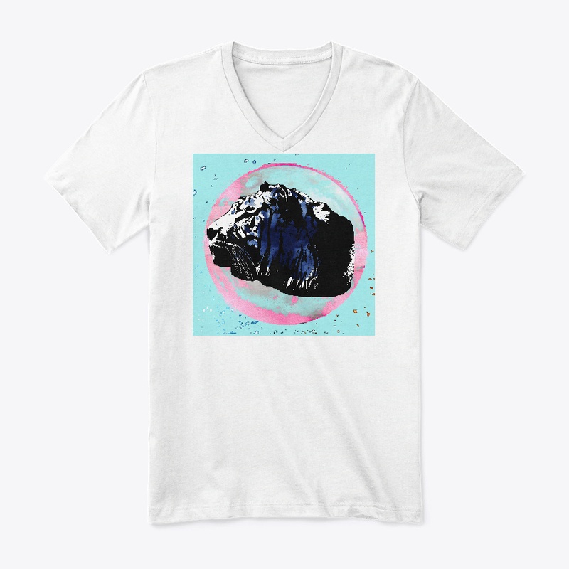 Pink Side of the Moon