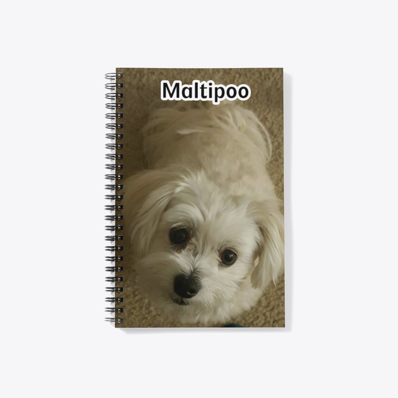 Maltipoo