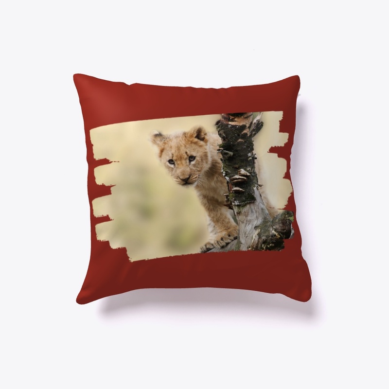 Baby Lion Cub