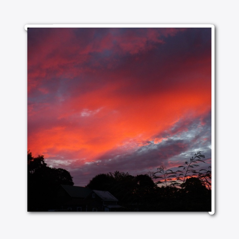 Pink Sunset