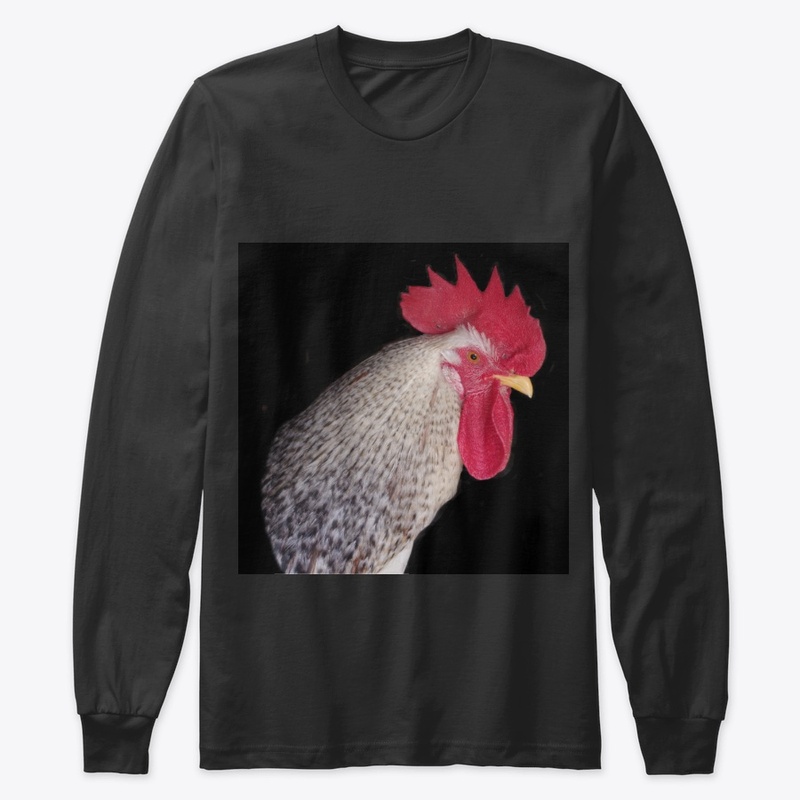 rooster2