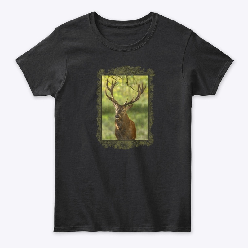 Pure Wildlife Lovers: Deer Bull
