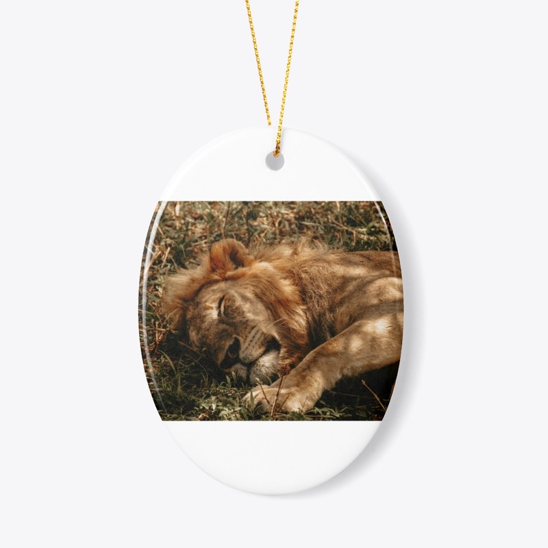 Serene Lion