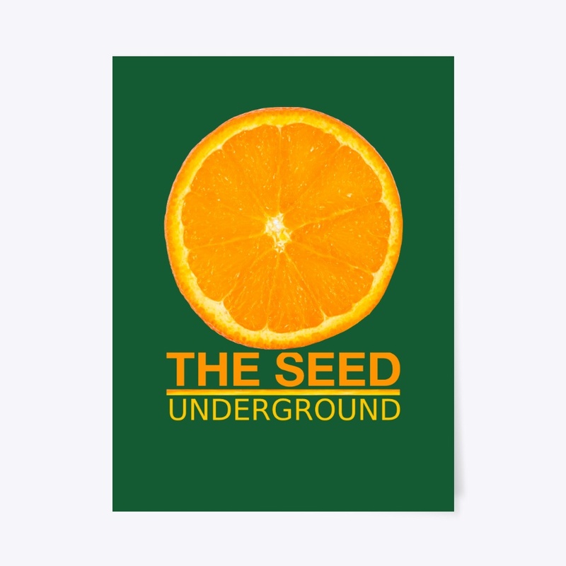 The Seed Orange Logo