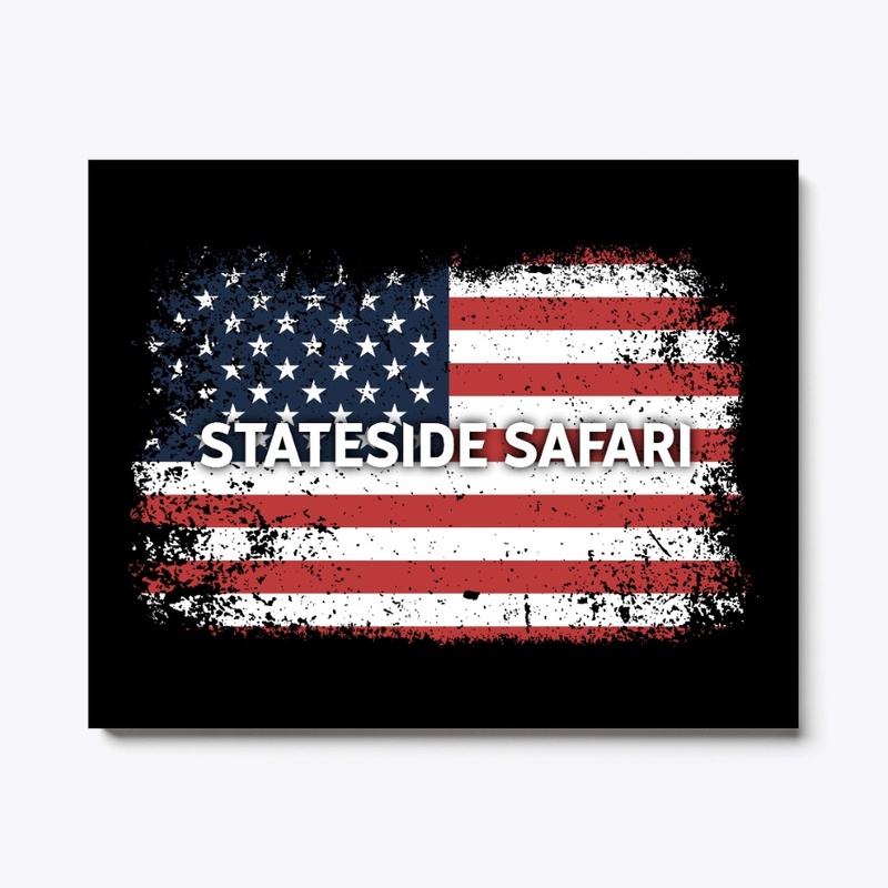 STATESIDE FLAG - WALL ART