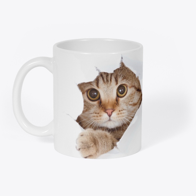 Cate come 