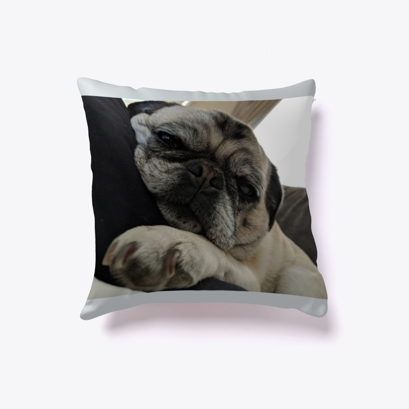 Pug sweatshirts, pug iPhone cases,pug pi