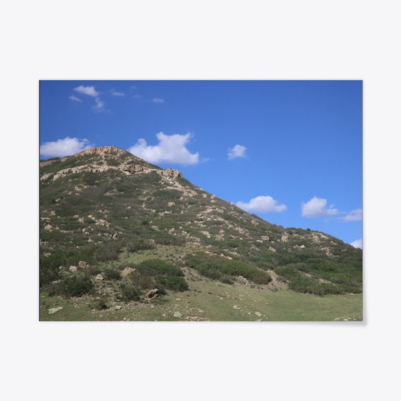 Colorado 45