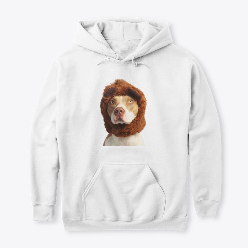 Pitbull australien