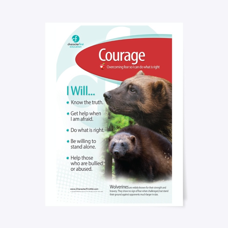 Courage Anchor Chart