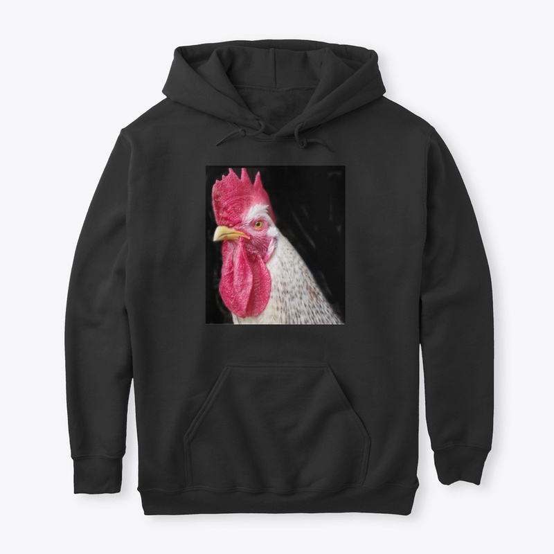 rooster chicken farm animal