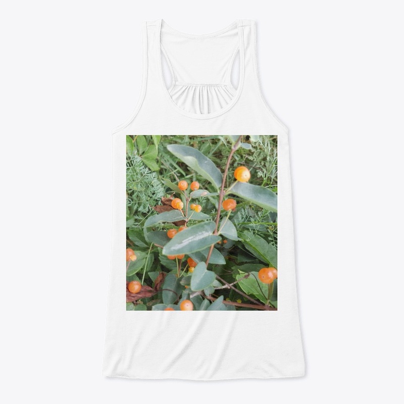 Orange Berries