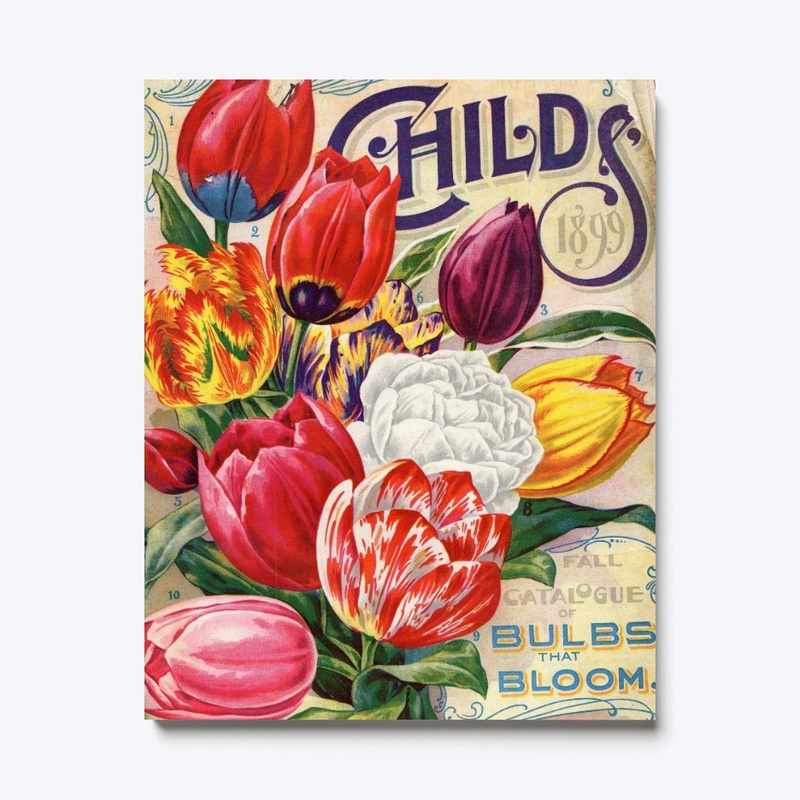Vintage Tulips