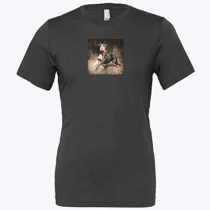 STEAM-PUNK BULLY
