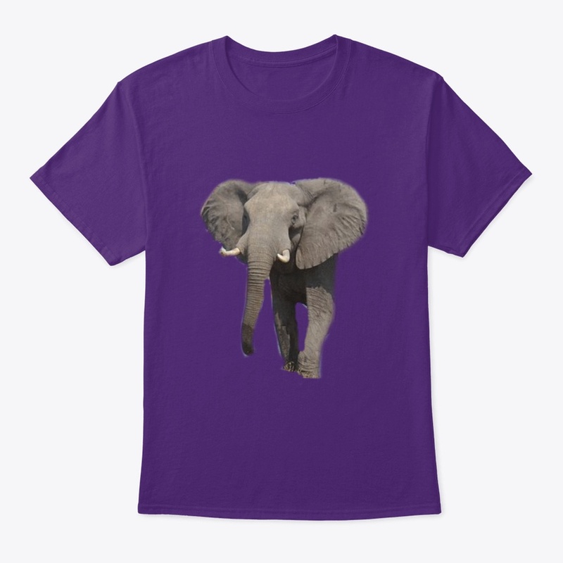 elephant split  teeshirt
