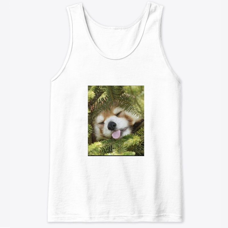 Sleeping panda
