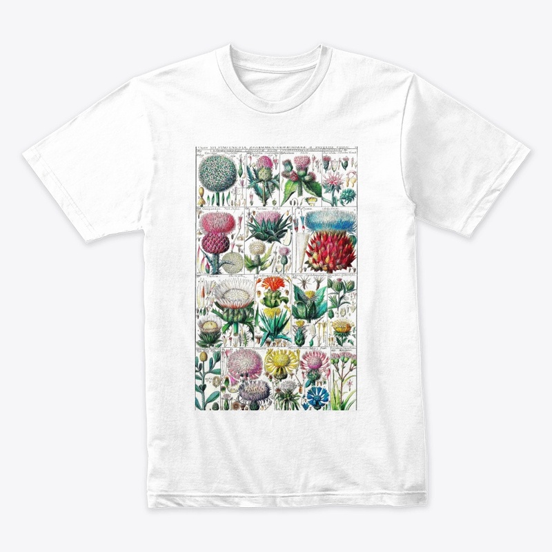 spring botanical blooms