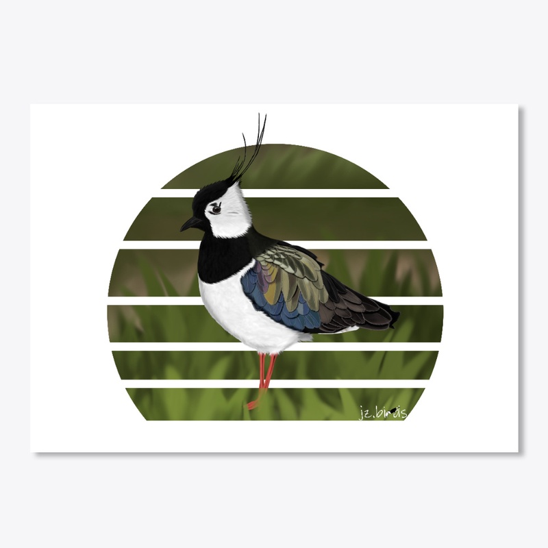 jz.birds Northern Lapwing Bird Design