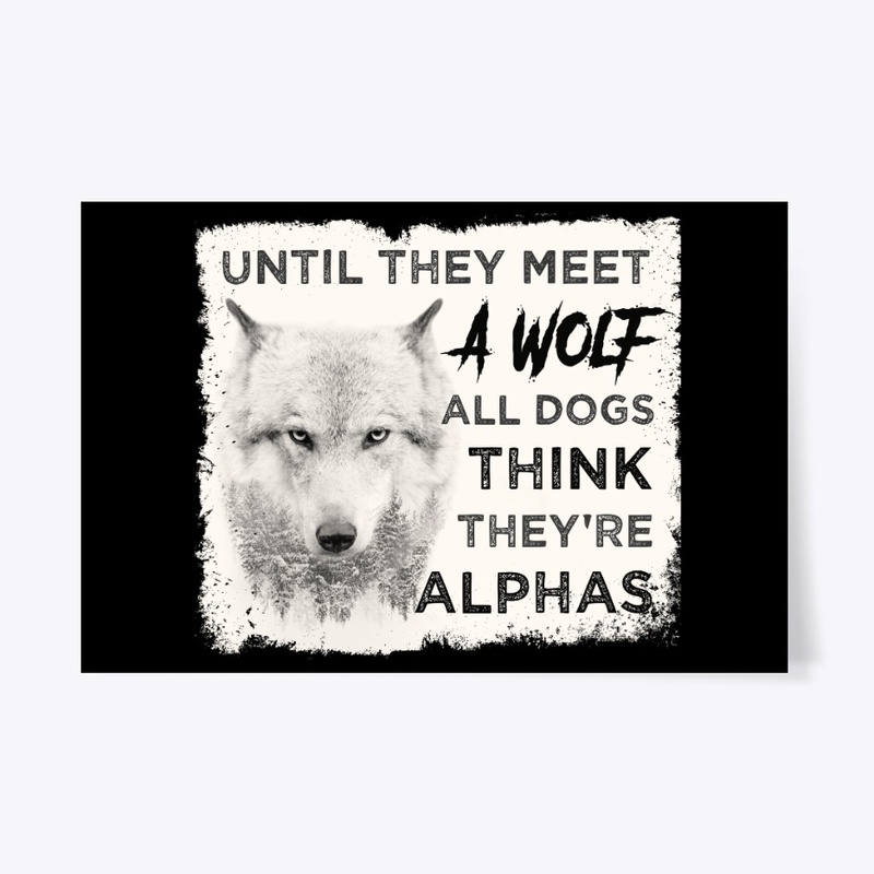 Till Meet Wolf Dogs Think They're Alphas