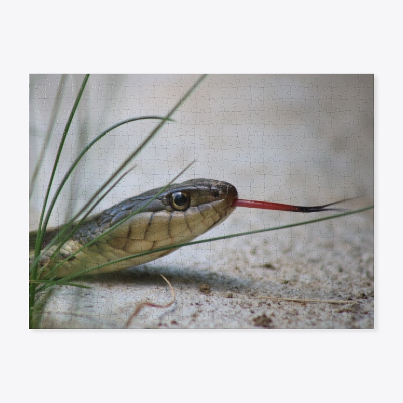Snake 1