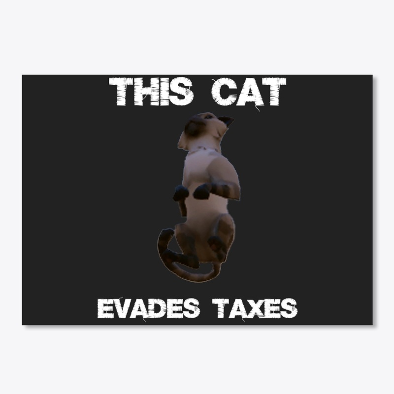 This cat evades taxes