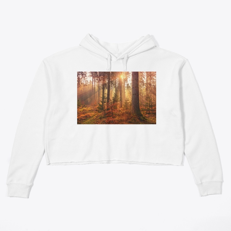 Value12 Sunshine in the forest