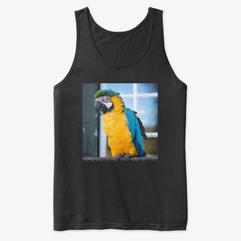 Macaw - Brazil Collection.