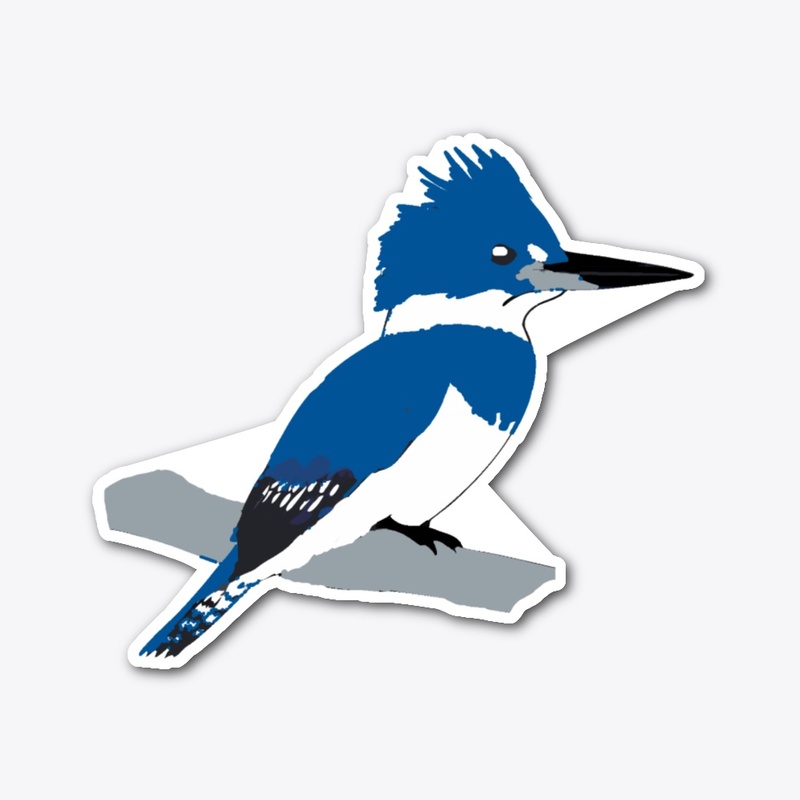 Belted Kingfisher perched on a branch