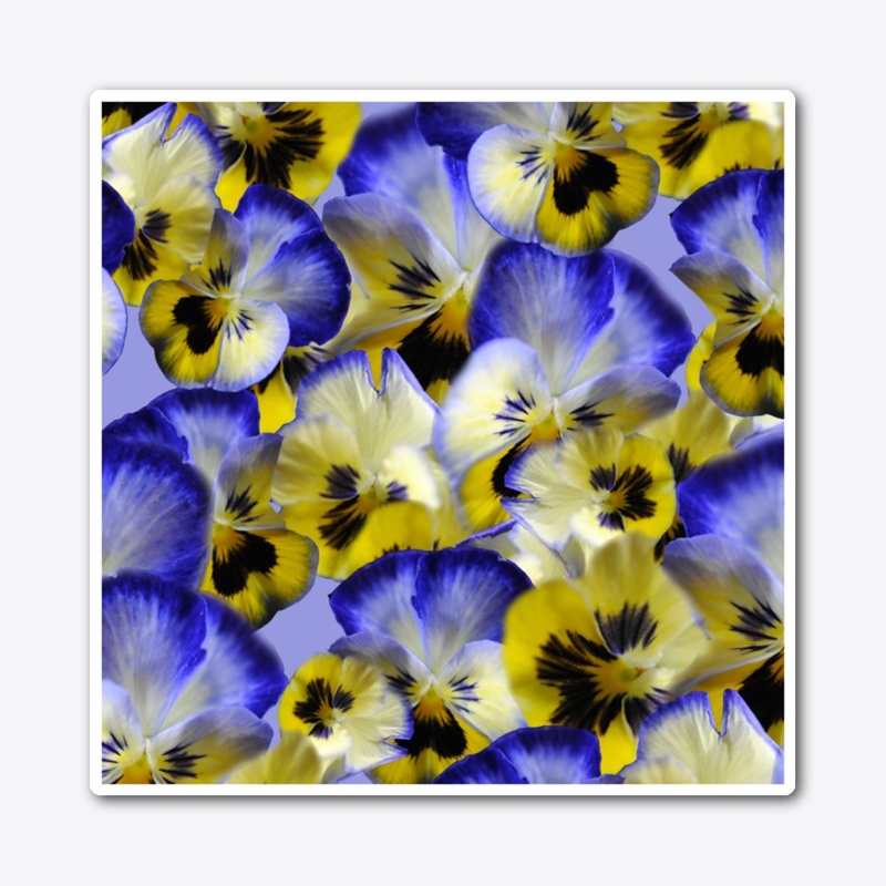 Blue and Yellow Pansies