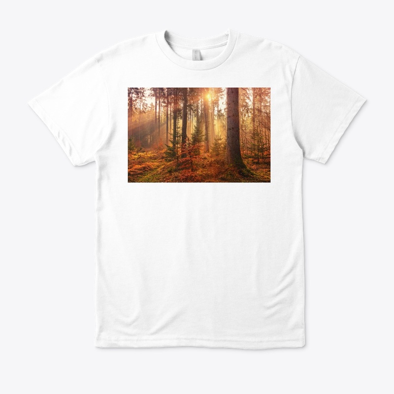 Value12 Sunshine in the forest