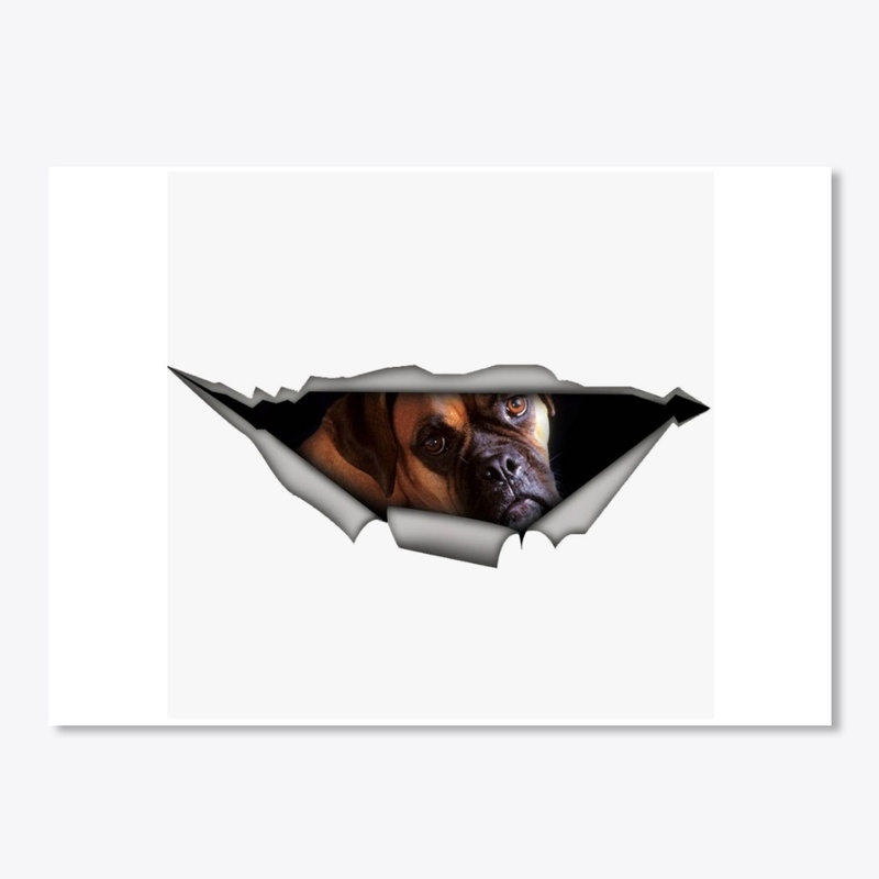 Boxer Dog Stickers/Decals 