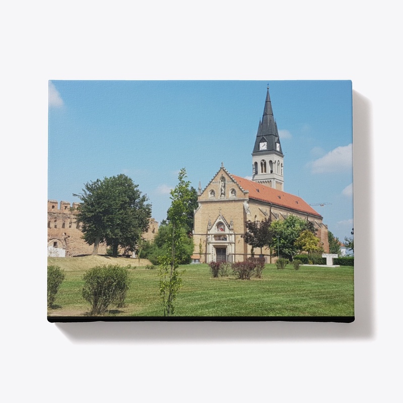 The old town of Ilok 4