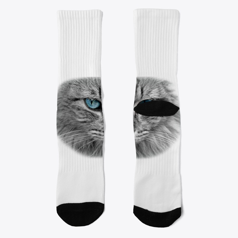 cute cat lovers
