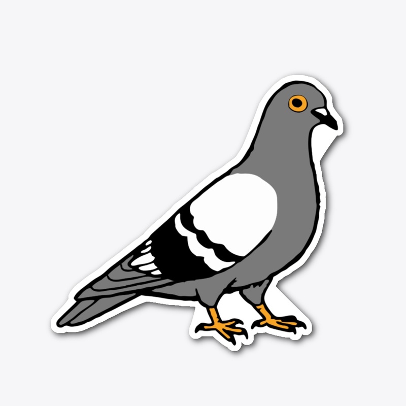 Pigeon 