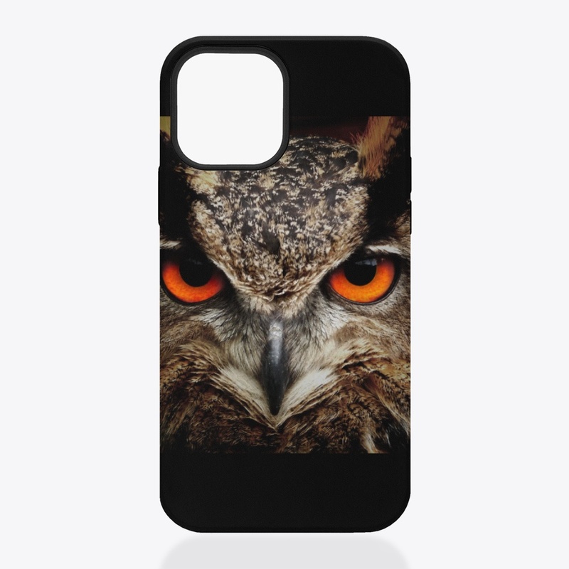 Owl Over