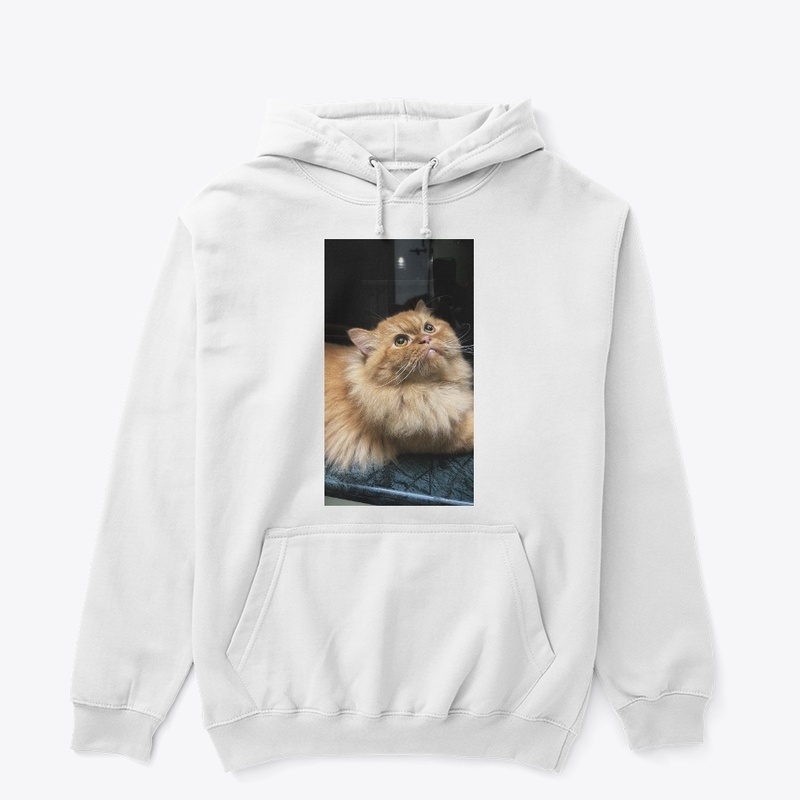 Cat - Pet Lovers