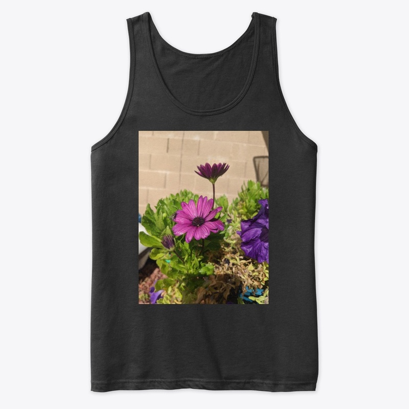 Purple daisy