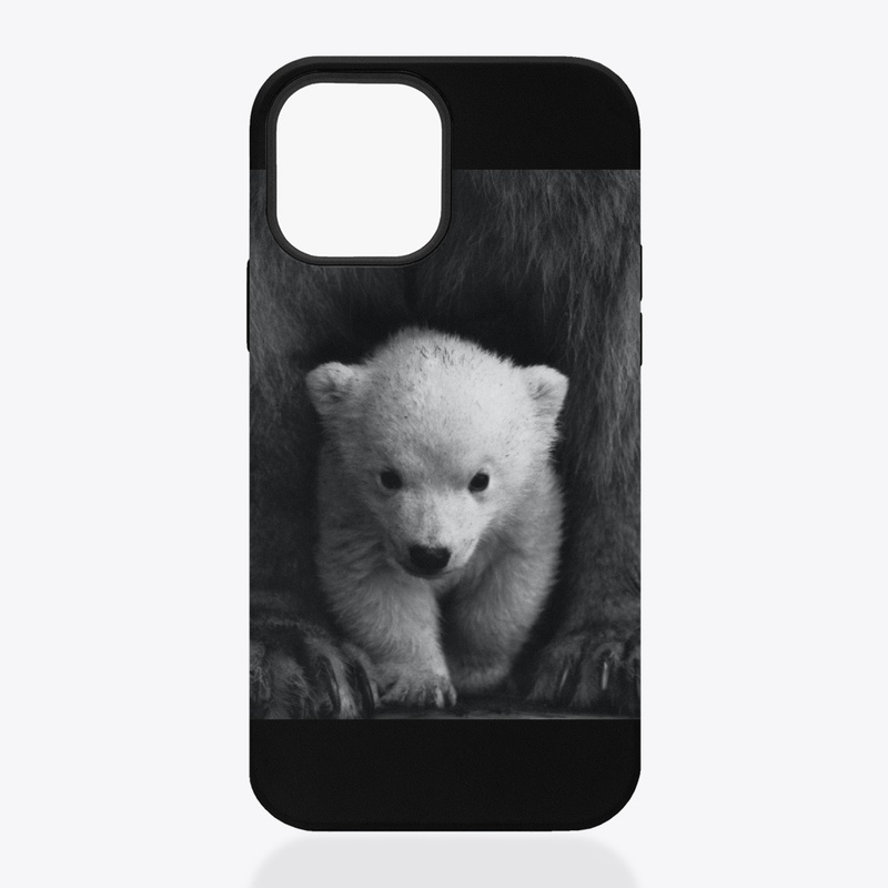 The Bear